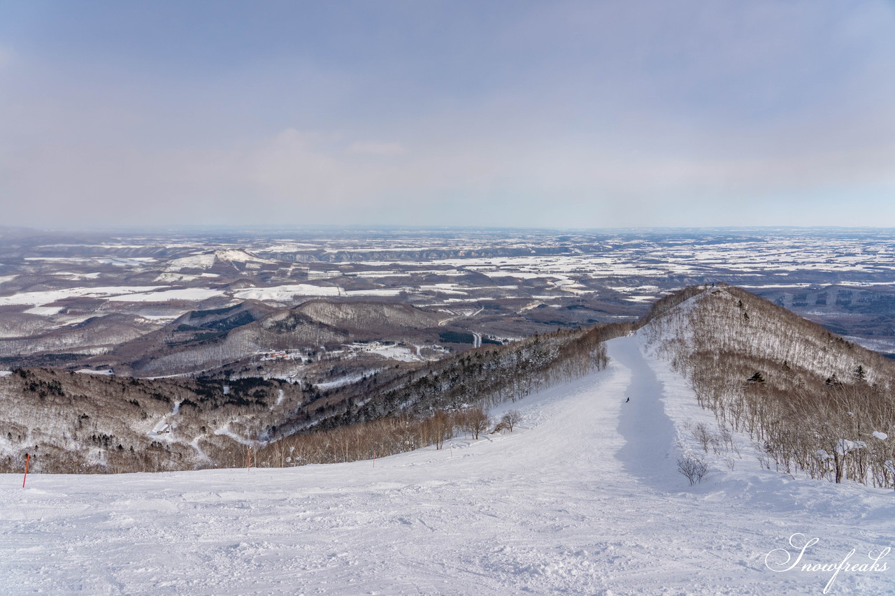 十勝サホロリゾート 快晴の空の下、極上の粉雪クルージングバーンを心ゆくまで味わう１日(*^^*)